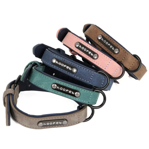 Set of five dog collars in different colors with 'hoopet' branding on a white background.