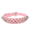 Pink dog collar with silver spikes on a white background