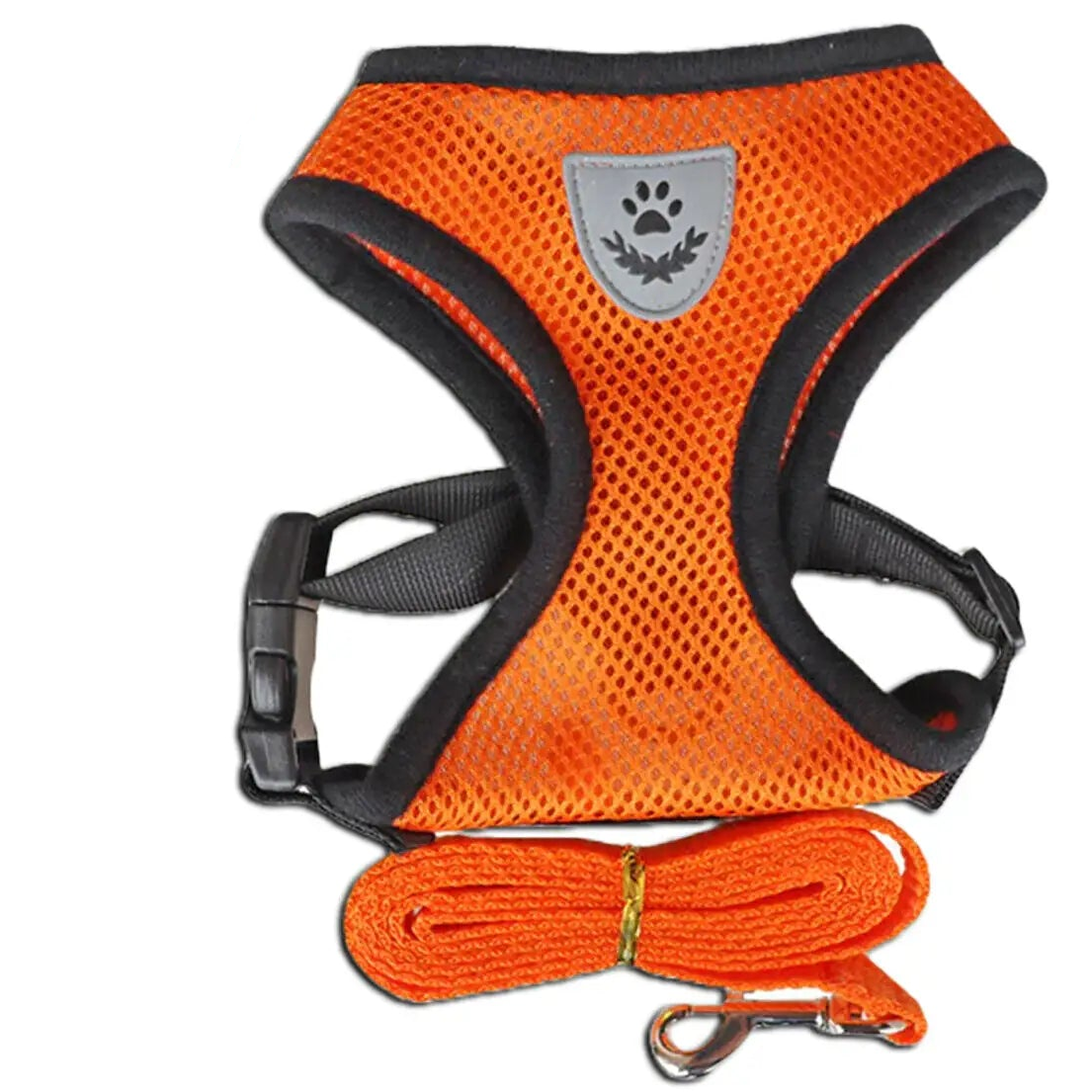 orange harness and leash on a white background