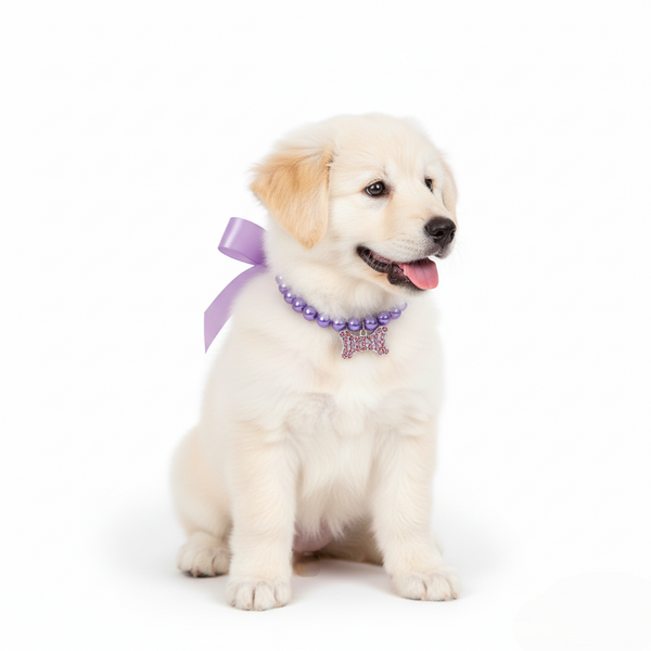 Puppy wearing a purple bow and collar on a white background