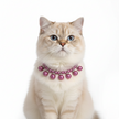 Cat wearing a purple pearl necklace on a white background