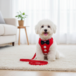 Small white dog wearing a red harness with buttons and a black bow tie, standing on a carpeted floor.