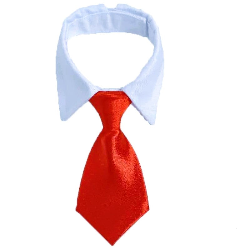 Red tie over a light blue shirt collar on a white background
