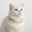 White cat with blue eyes wearing a pearl necklace on a white background